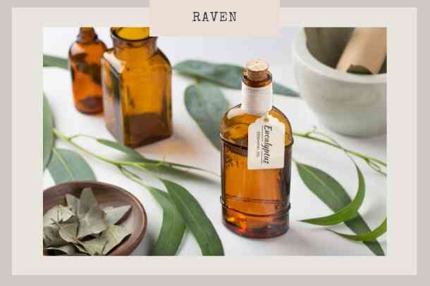 Raven essential oil